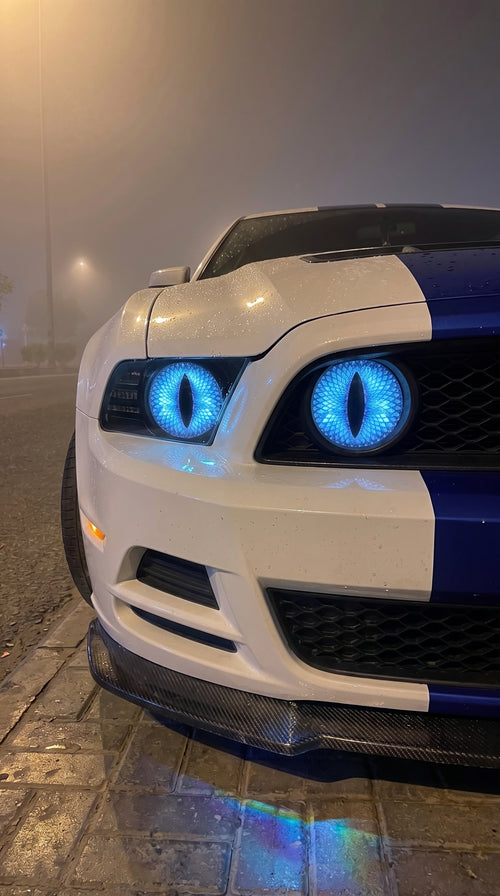Panther Eyes