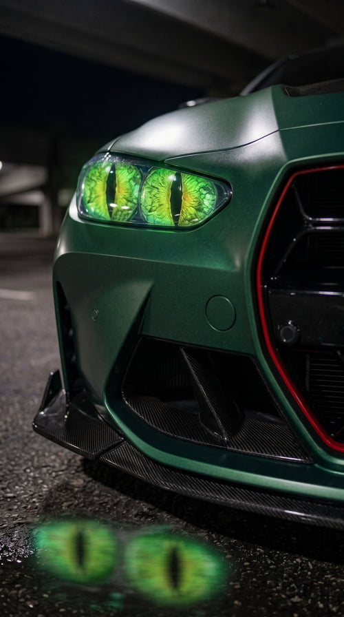 Panther Eyes