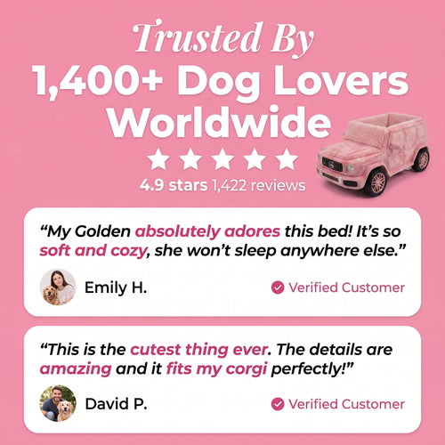 Pet Beds