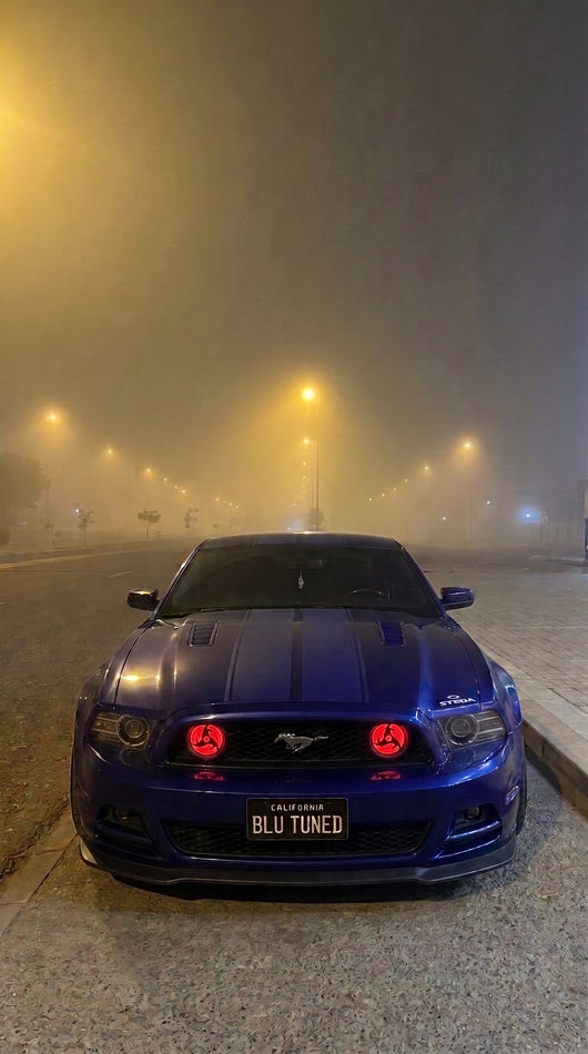 Panther Car Lights